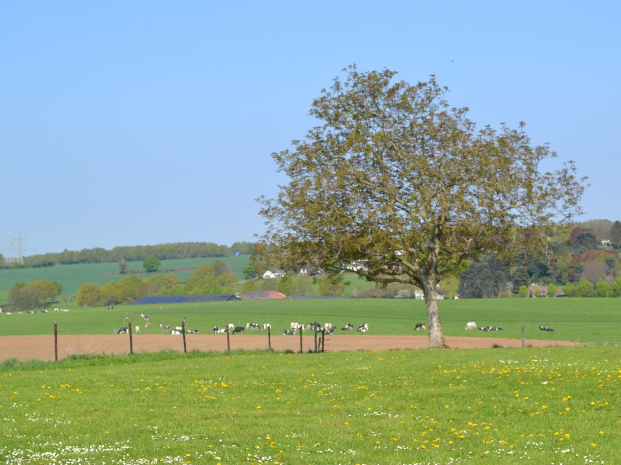 Attractive Farmhouse In South Limburg With Terrace Villa Klimmen Luaran gambar