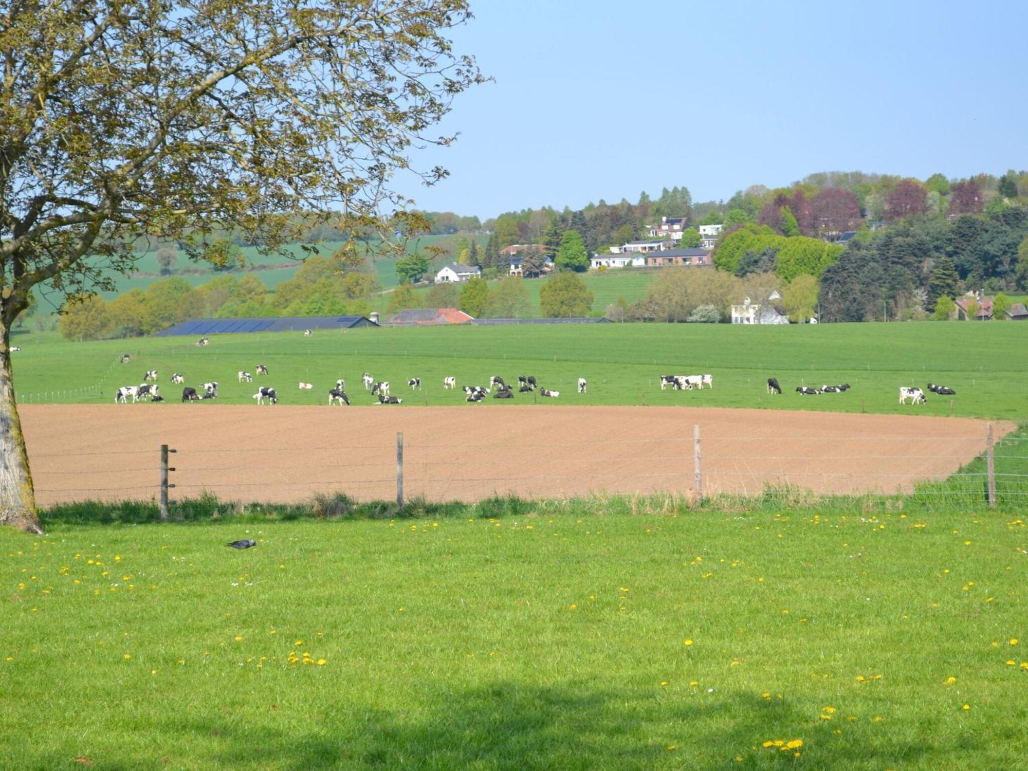 Attractive Farmhouse In South Limburg With Terrace Villa Klimmen Luaran gambar